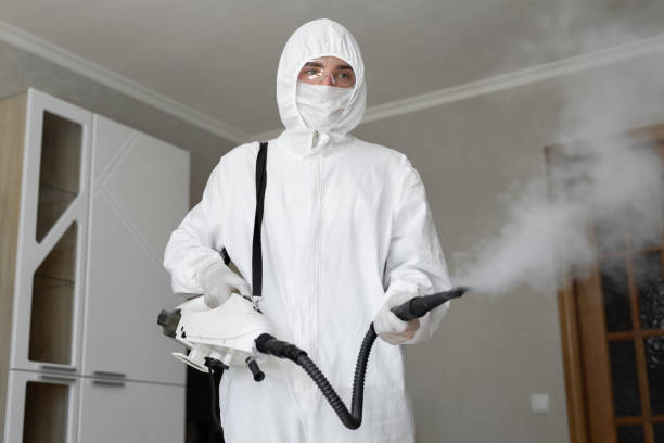 Why You Should Choose Our Mold Remediation Services in Plumas Lake, CA