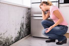 Trusted Plumas Lake, CA Mold Removal Experts